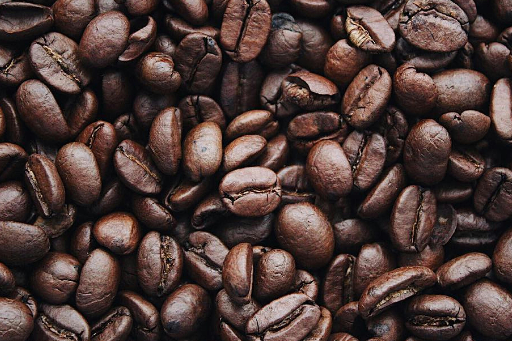 Arabica Coffee